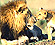 Kenya Safari