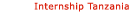 Internship in Tanzania