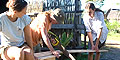 Lemur Conservation Project