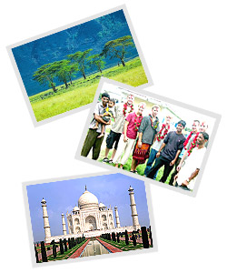 Volunteer Abroad