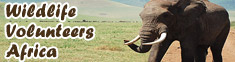 Volunteer Experience Peru