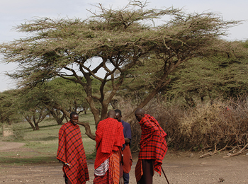 Travel and Safari  in Kenya