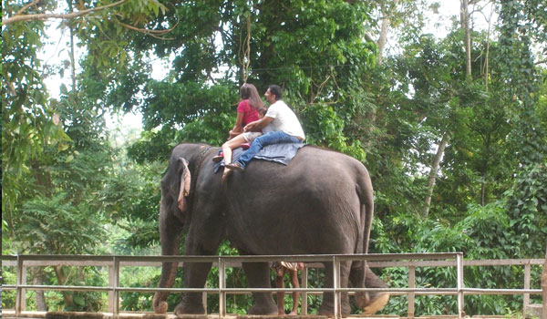 volunteer enjoying elephant ride in elephant santuary srilanka