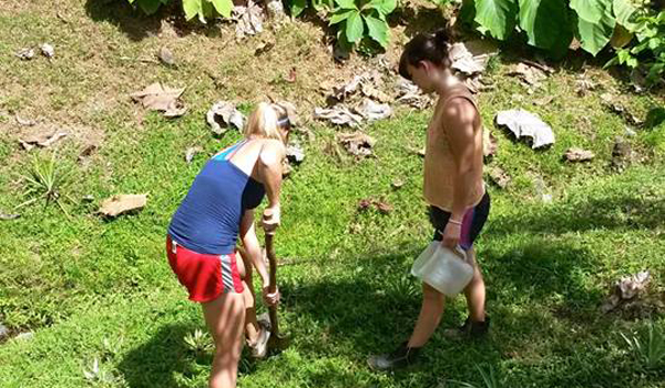 volunteer digging field