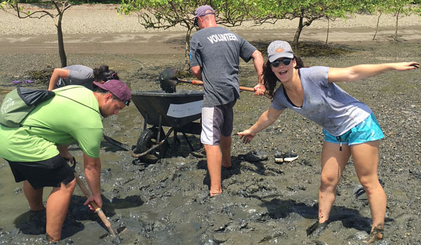 volunteer digging field