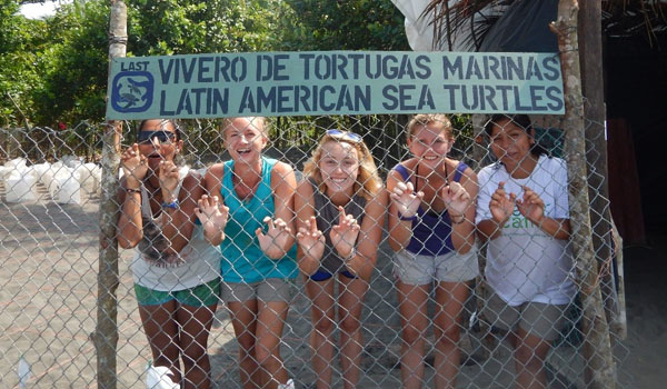 volunteers in turtle farm