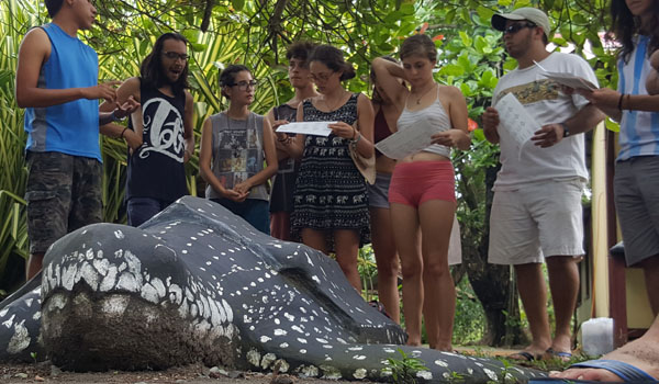 volunteers learning about turtle