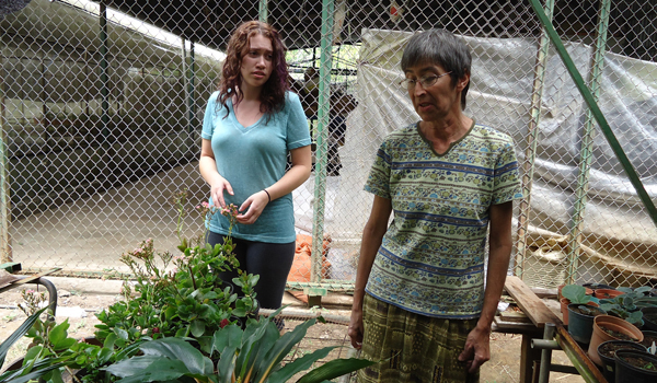 volunteer observing nursery