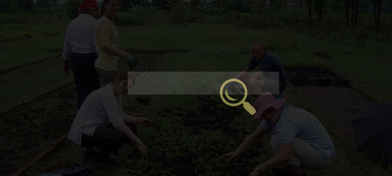 Finding Affordable Volunteer in Nepal Programs