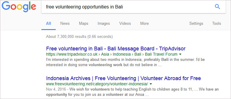 volunteer in Bali free