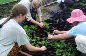 volunteers in Ecuador Conservation