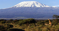 summer escape programs in Tanzania