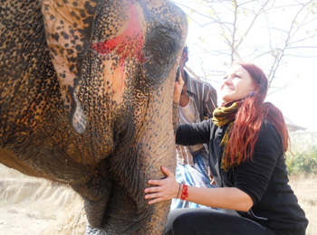 Volunteer In India Elephant Project