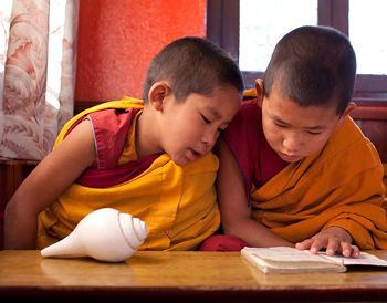 Volunteers with monks