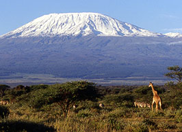kilimanjaro