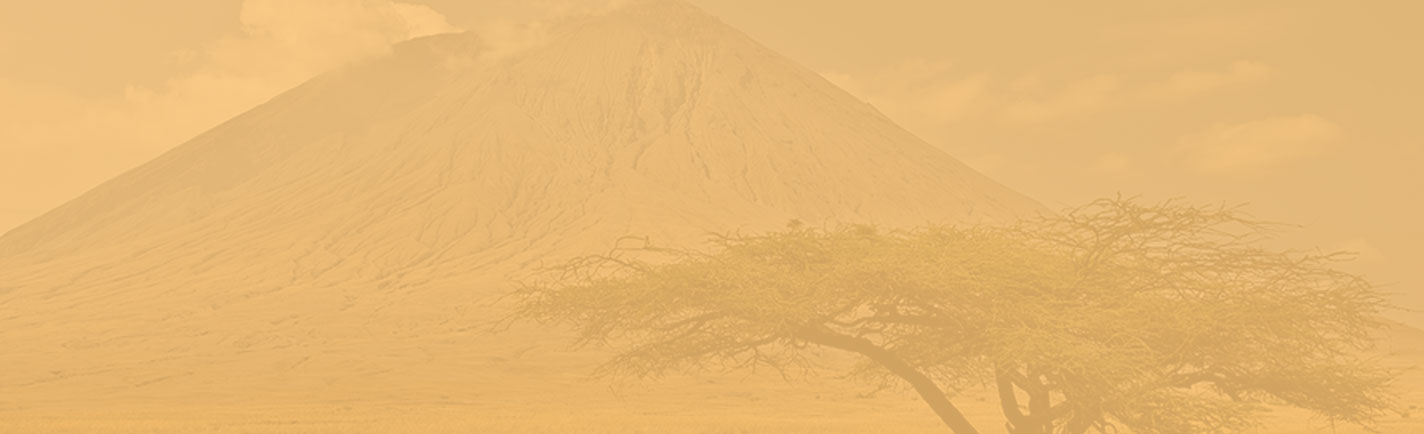 Summer Volunteer in tanzania
