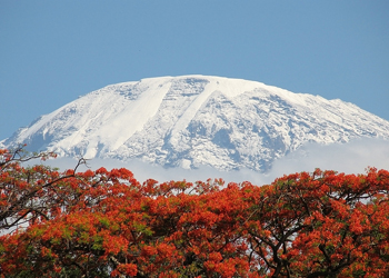 Volunteer in Tanzania