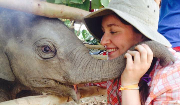 thailand volunteer chiang mai elephant