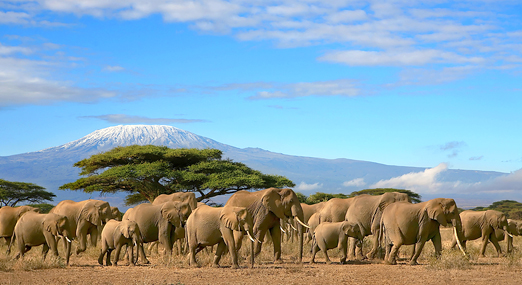 GCR Travel & Tour