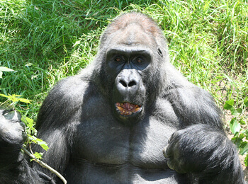 Travel in Uganda with Globalcrossroad Travel in Uganda
