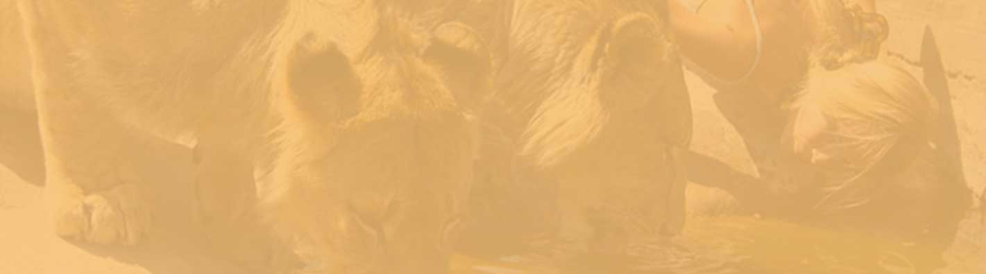 project wildlife project wildlife